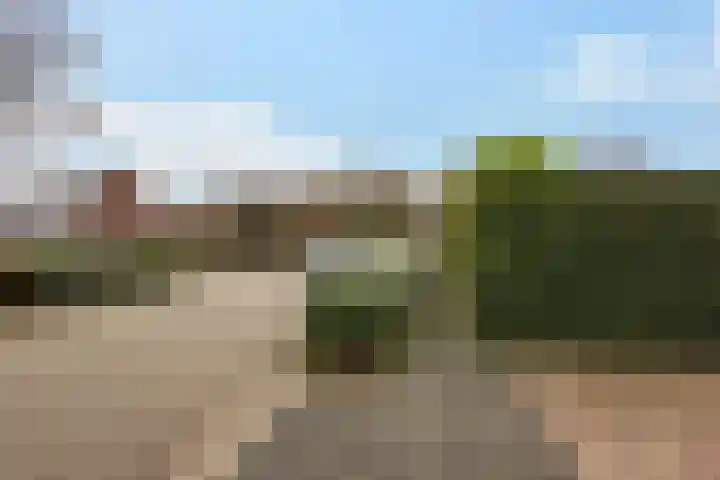 Frankendaalstraat 6 Callantsoog thumbnail 54