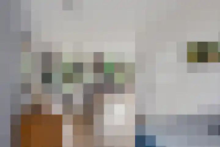 Frankendaalstraat 6 Callantsoog thumbnail 8