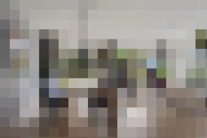 Frankendaalstraat 6 Callantsoog thumbnail 9