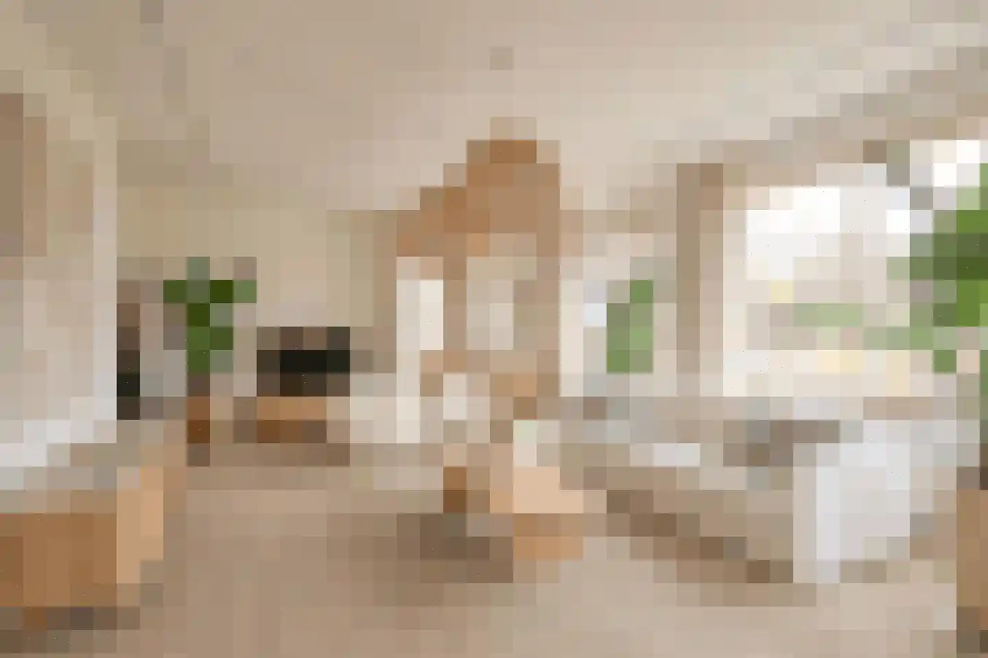 Frankendaalstraat 8 Callantsoog thumbnail 7