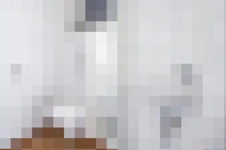 Frankengaarde 7 Alphen aan den Rijn thumbnail 12