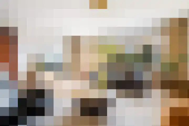 Frankengaarde 7 Alphen aan den Rijn thumbnail 16