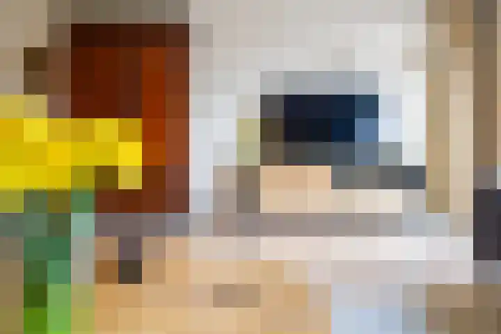 Frankengaarde 7 Alphen aan den Rijn thumbnail 19