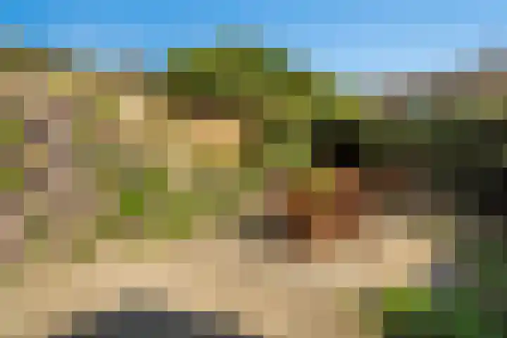 Frankengaarde 7 Alphen aan den Rijn thumbnail 32
