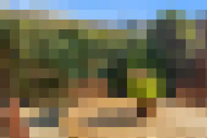 Frankengaarde 7 Alphen aan den Rijn thumbnail 33
