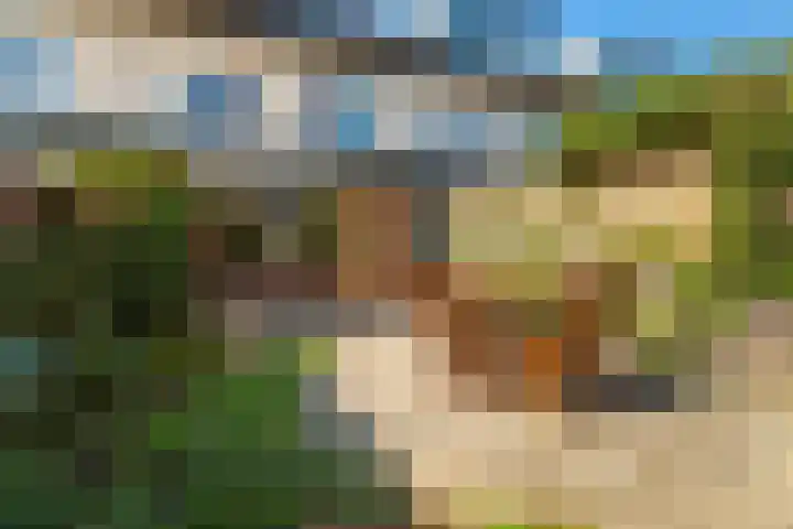 Frankengaarde 7 Alphen aan den Rijn thumbnail 35