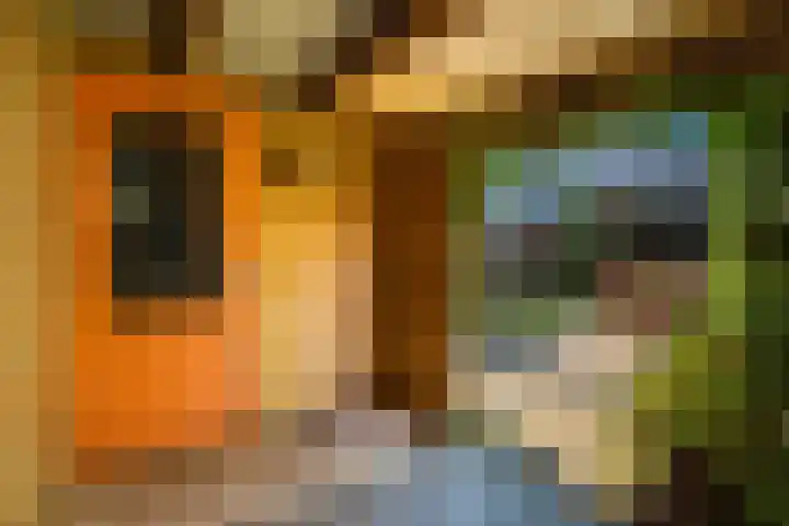 Frankengaarde 7 Alphen aan den Rijn thumbnail 36
