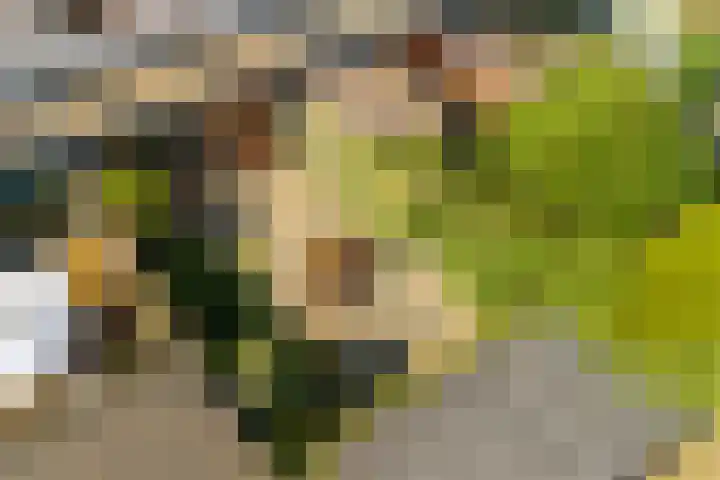 Frankengaarde 7 Alphen aan den Rijn thumbnail 37