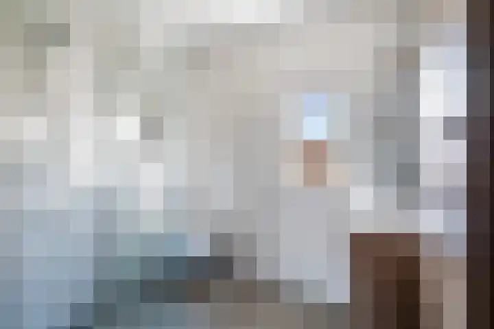 Frankengaarde 7 Alphen aan den Rijn thumbnail 46