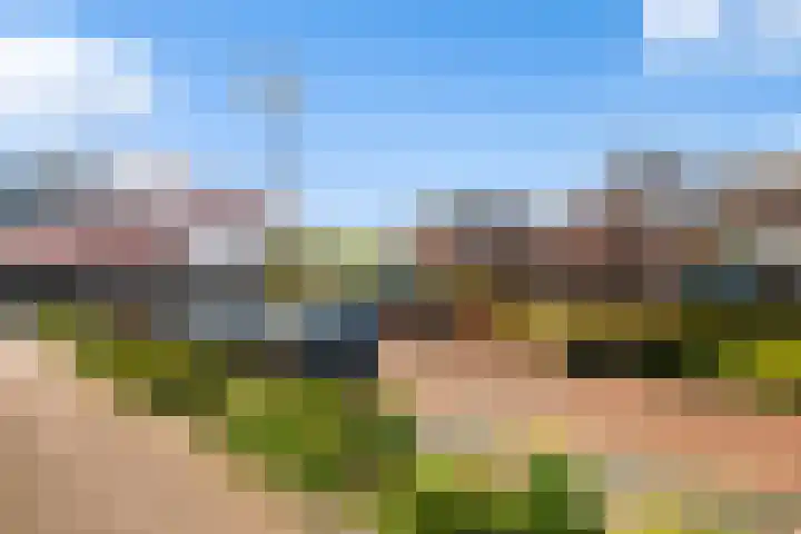 Frankengaarde 7 Alphen aan den Rijn thumbnail 53