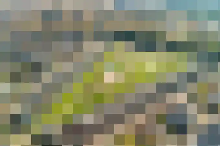 Frankengaarde 7 Alphen aan den Rijn thumbnail 56