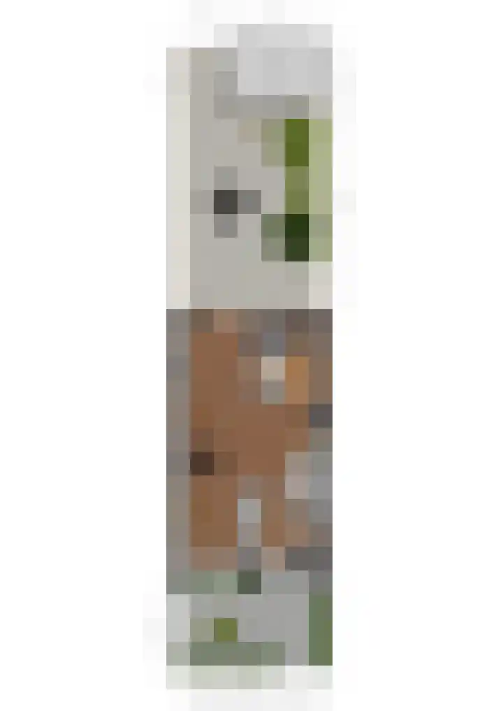 Frankengaarde 7 Alphen aan den Rijn thumbnail 61