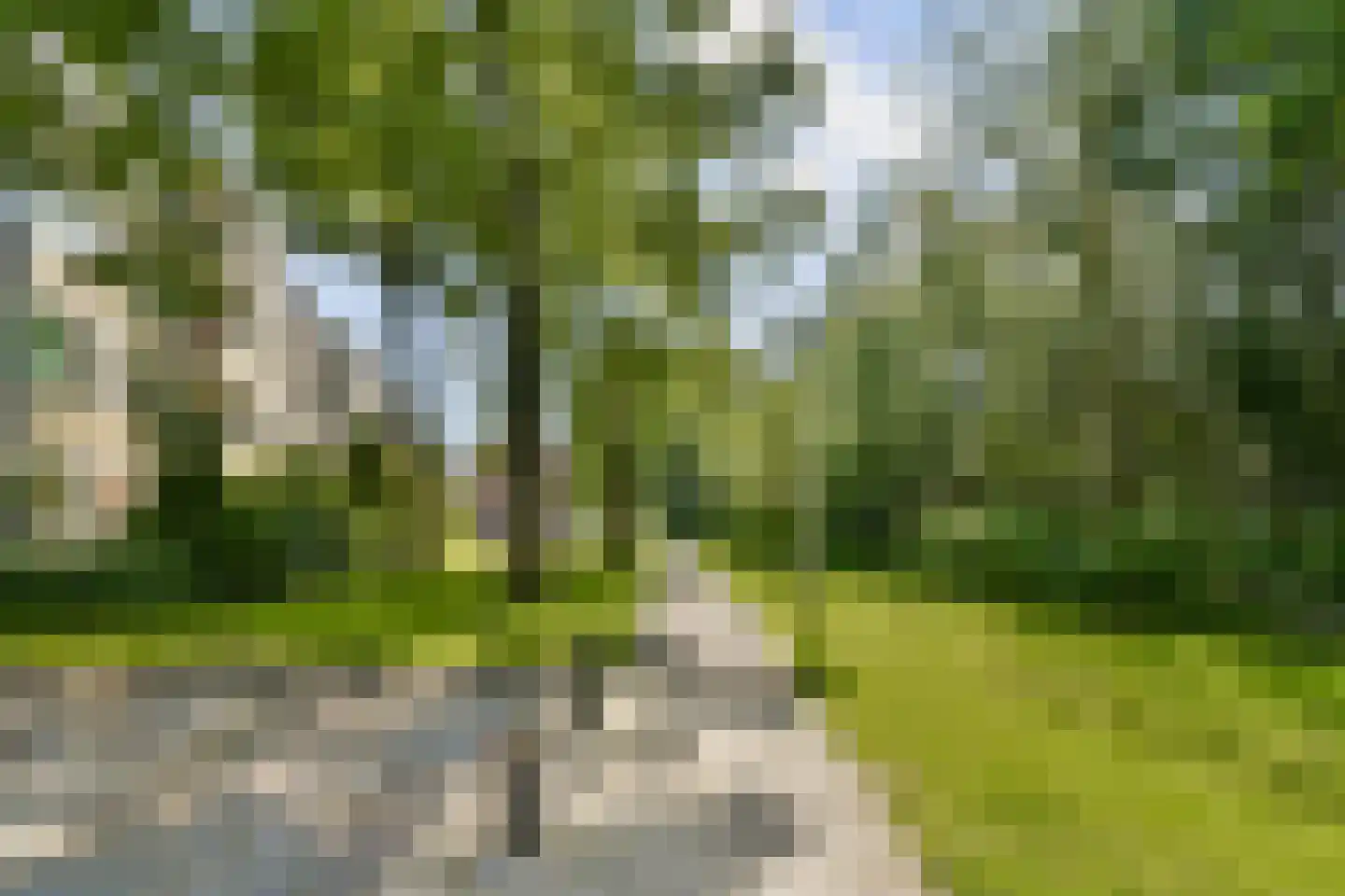 Frankenhorst 25 c Sassenheim thumbnail 17
