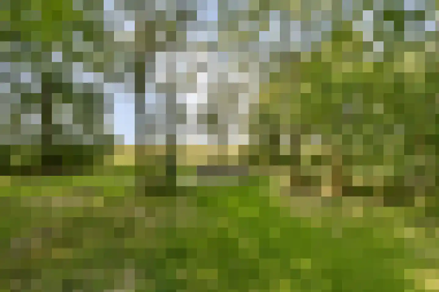 Frankenhorst 25 c Sassenheim thumbnail 18