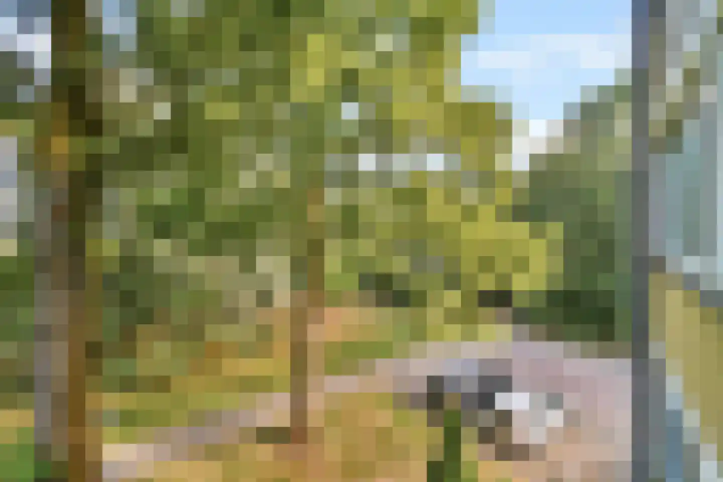 Frankenhorst 35 b Sassenheim thumbnail 14
