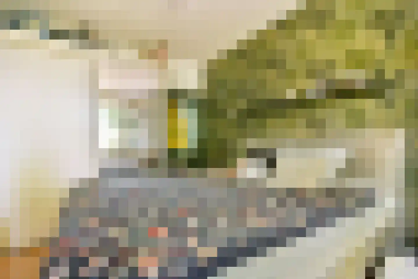 Frankenhorst 35 b Sassenheim thumbnail 16