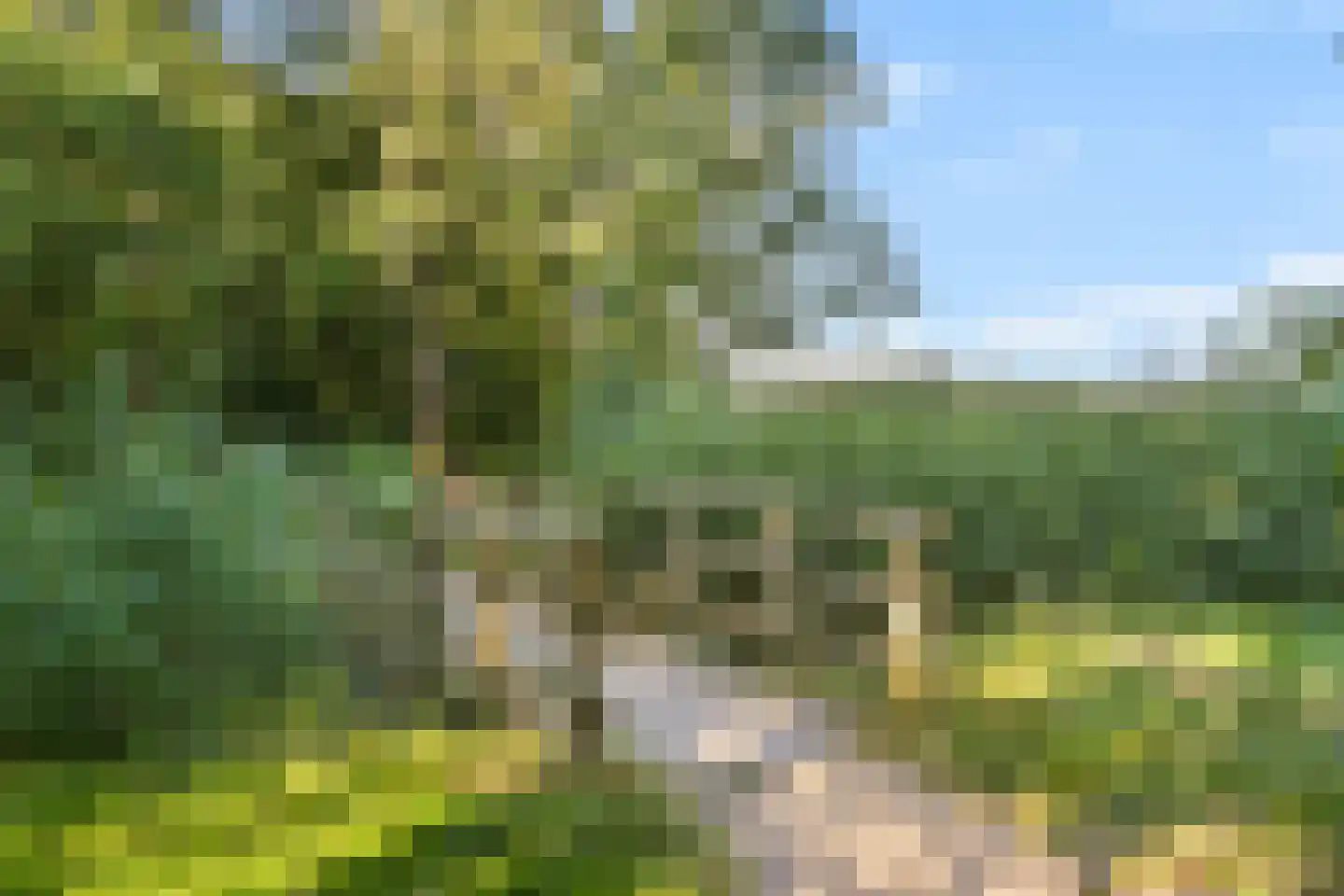 Frankenhorst 35 b Sassenheim thumbnail 24