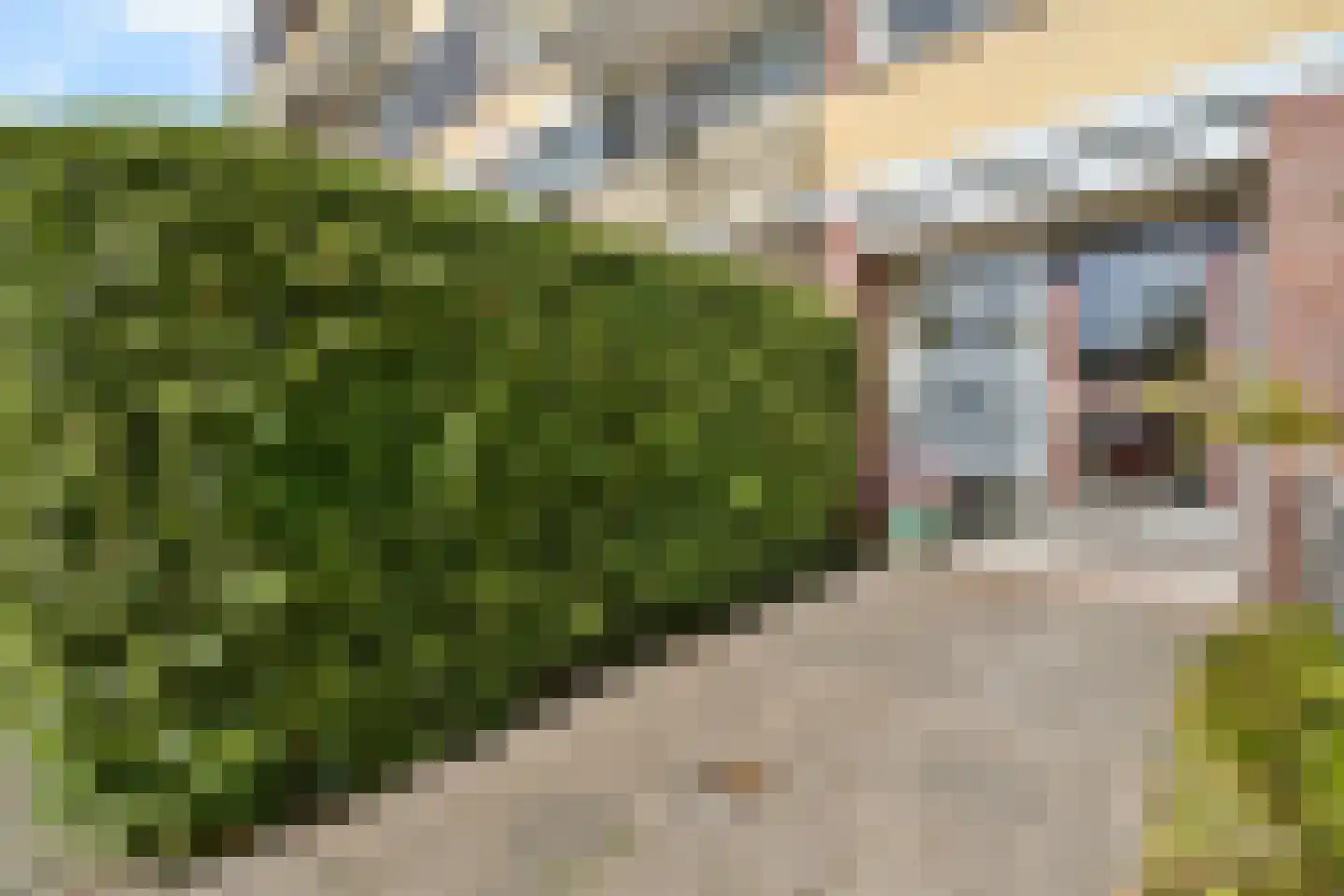 Frankenhorst 35 b Sassenheim thumbnail 4
