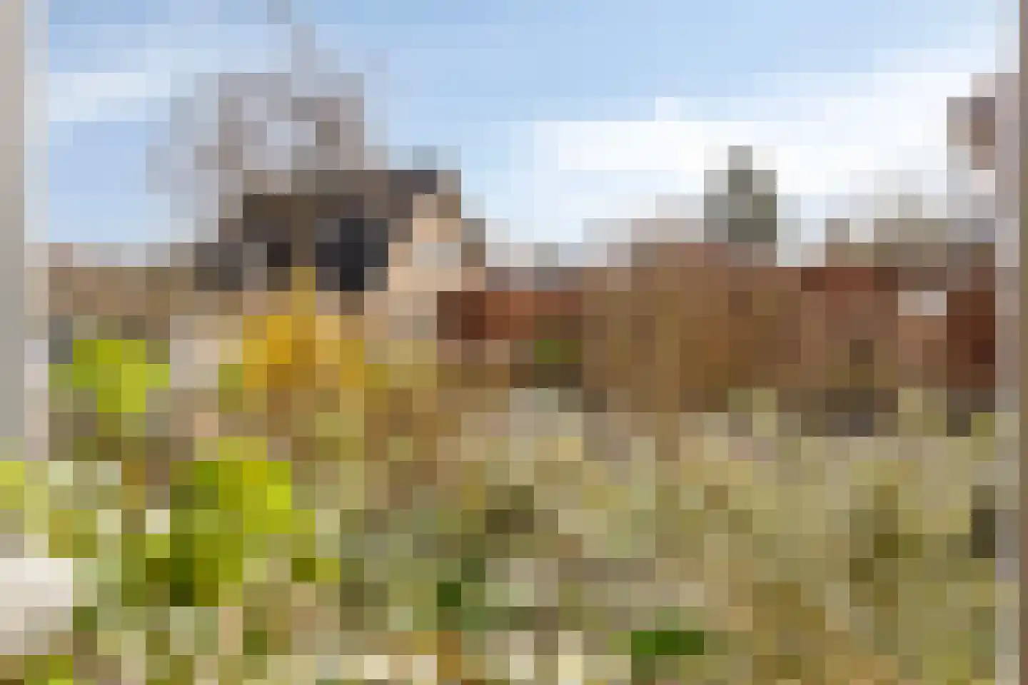 Frankenlaan 10 Lochem thumbnail 10