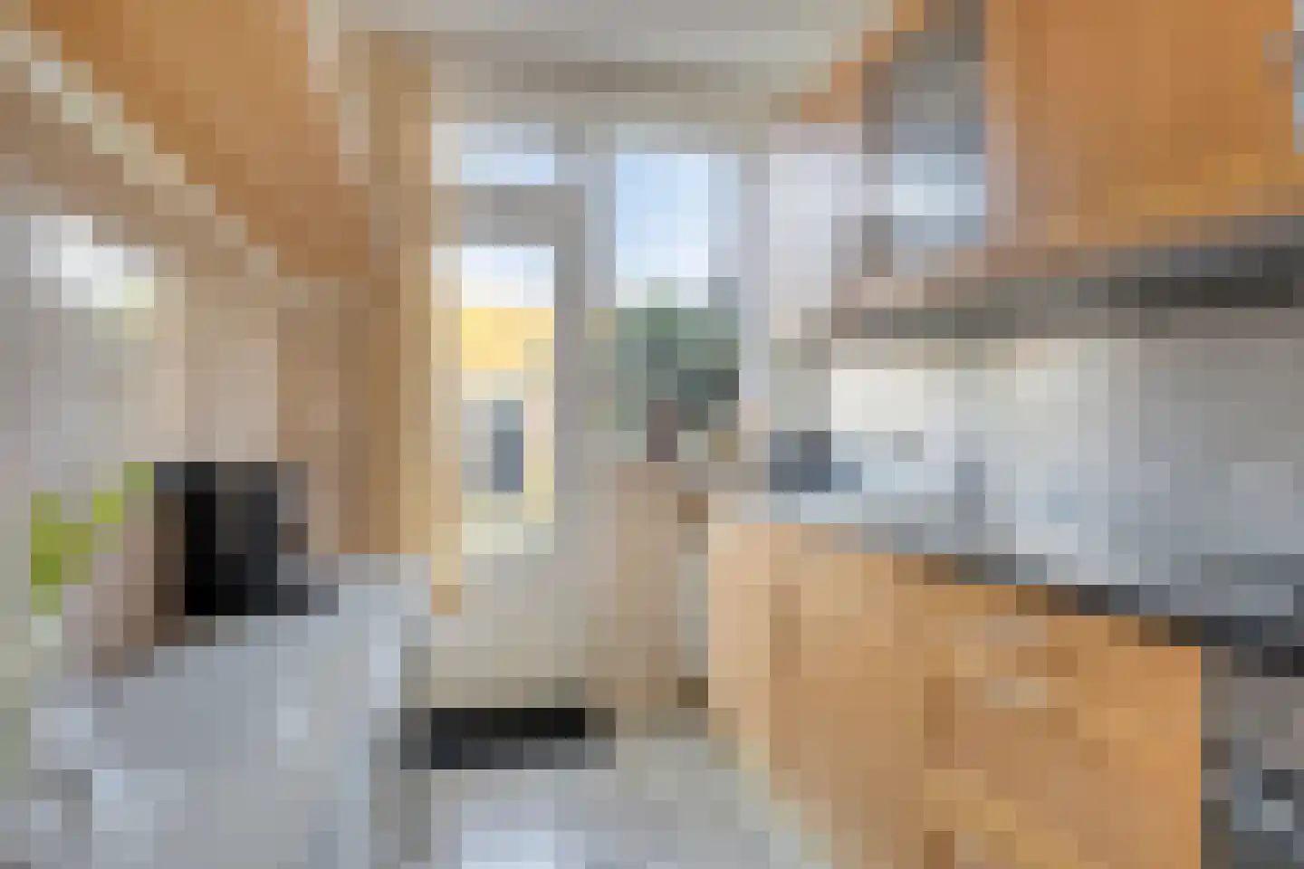 Frankenlaan 10 Lochem thumbnail 16