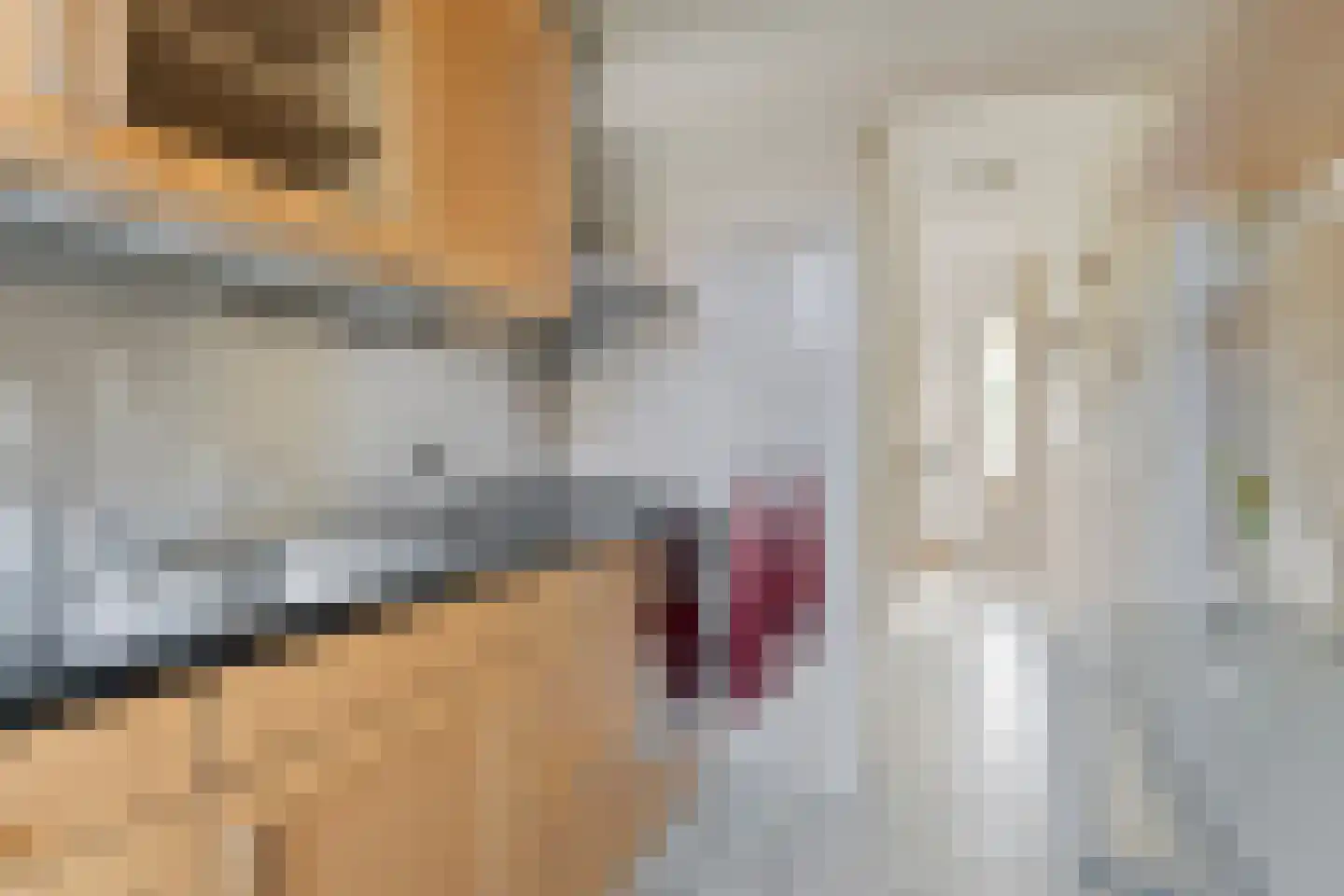 Frankenlaan 10 Lochem thumbnail 17