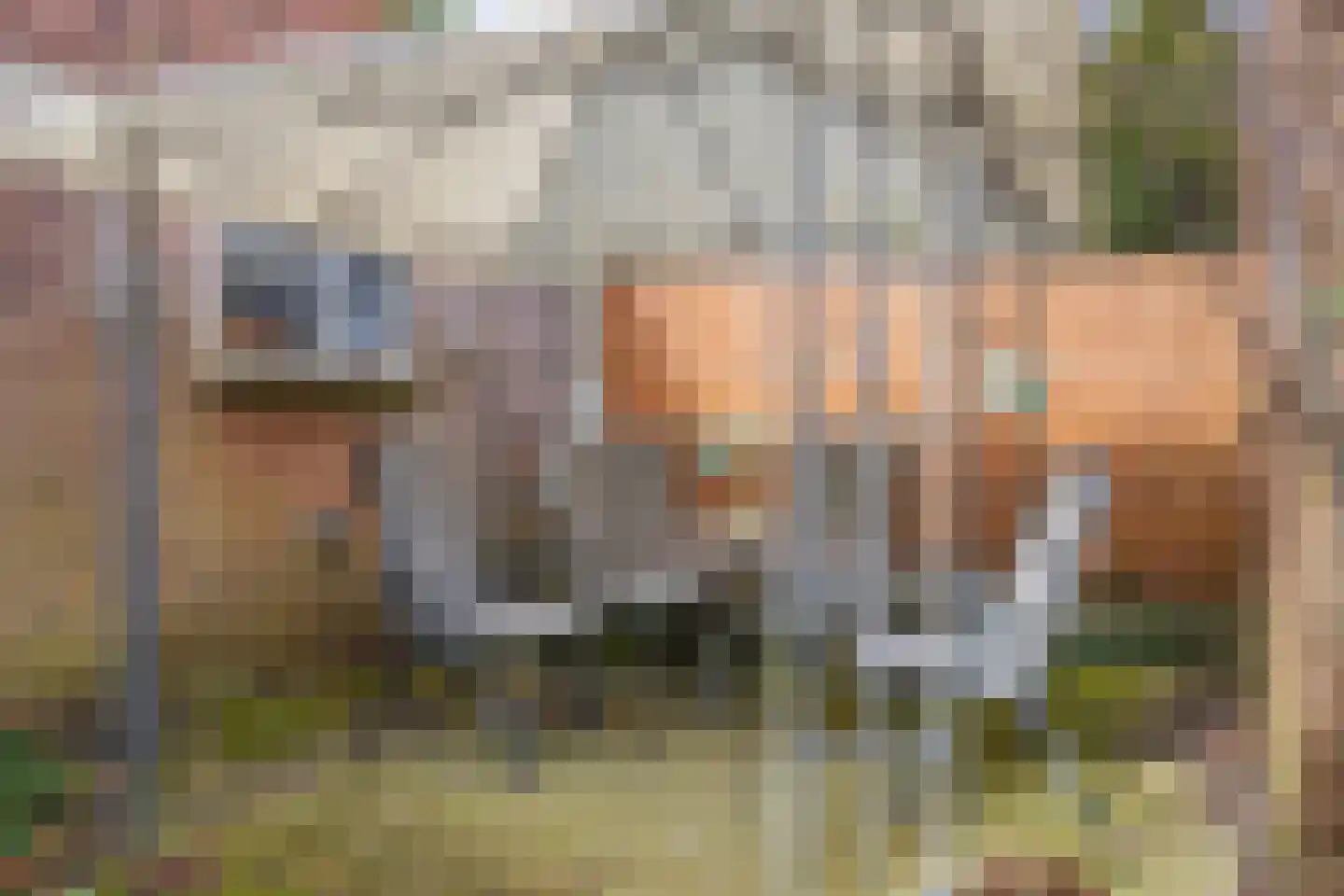 Frankenlaan 10 Lochem thumbnail 36