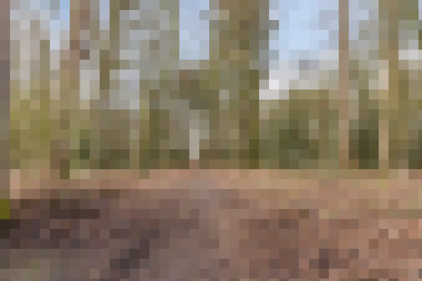 Frankenlaan 10 Lochem thumbnail 38