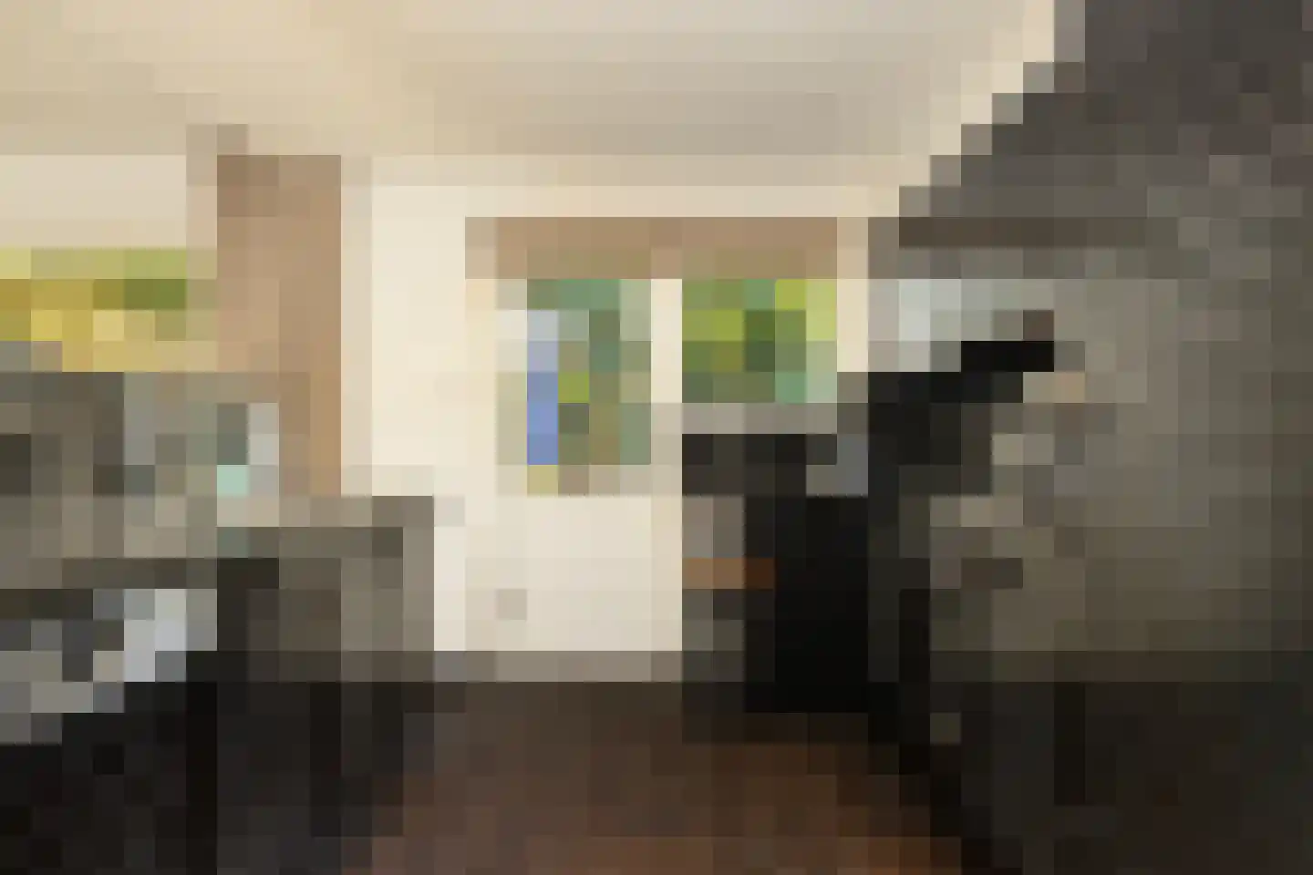 Frankenlaan 12 Apeldoorn thumbnail 17