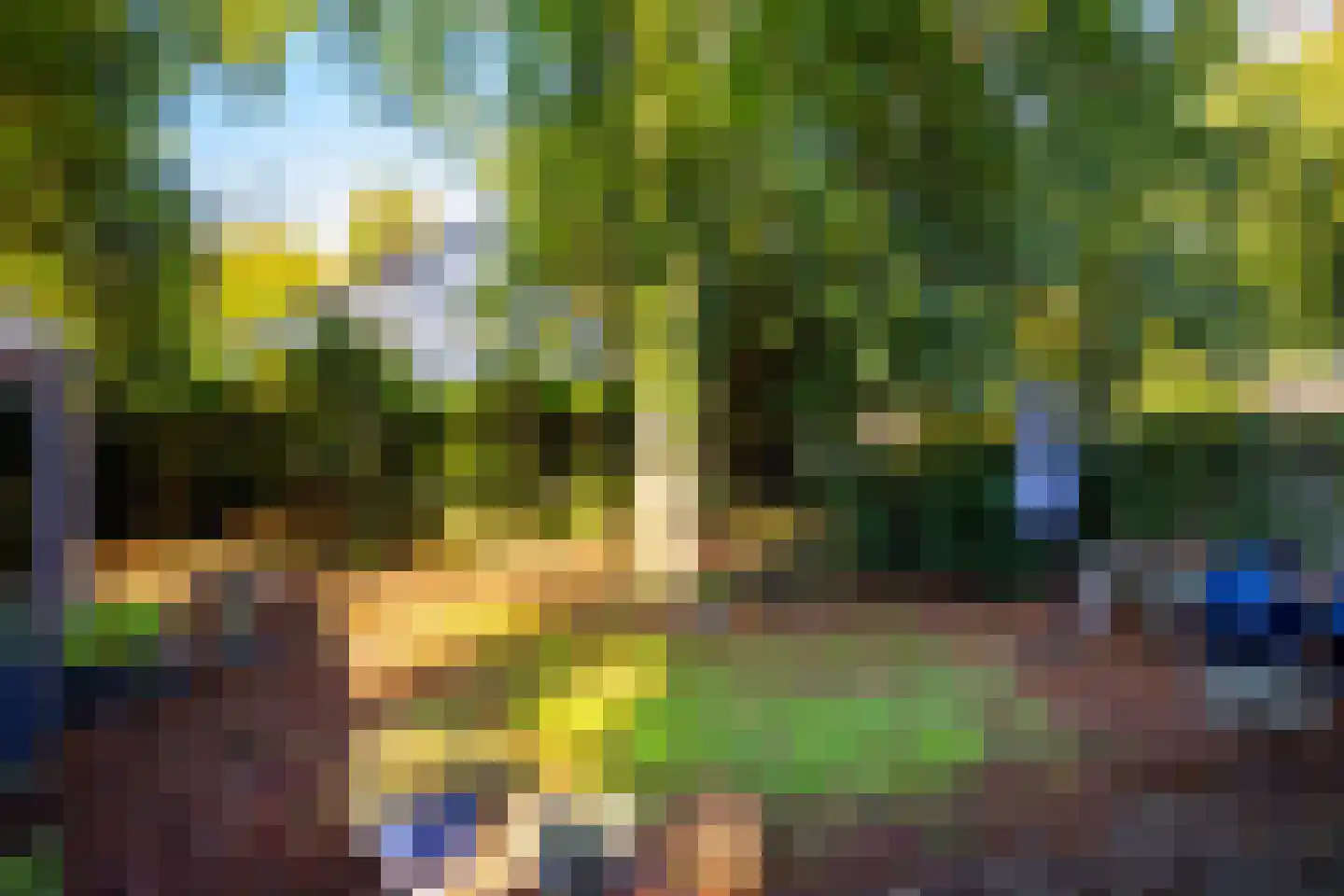 Frankenlaan 12 Apeldoorn thumbnail 29