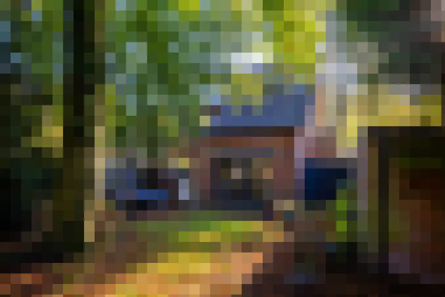 Frankenlaan 12 Apeldoorn thumbnail 31