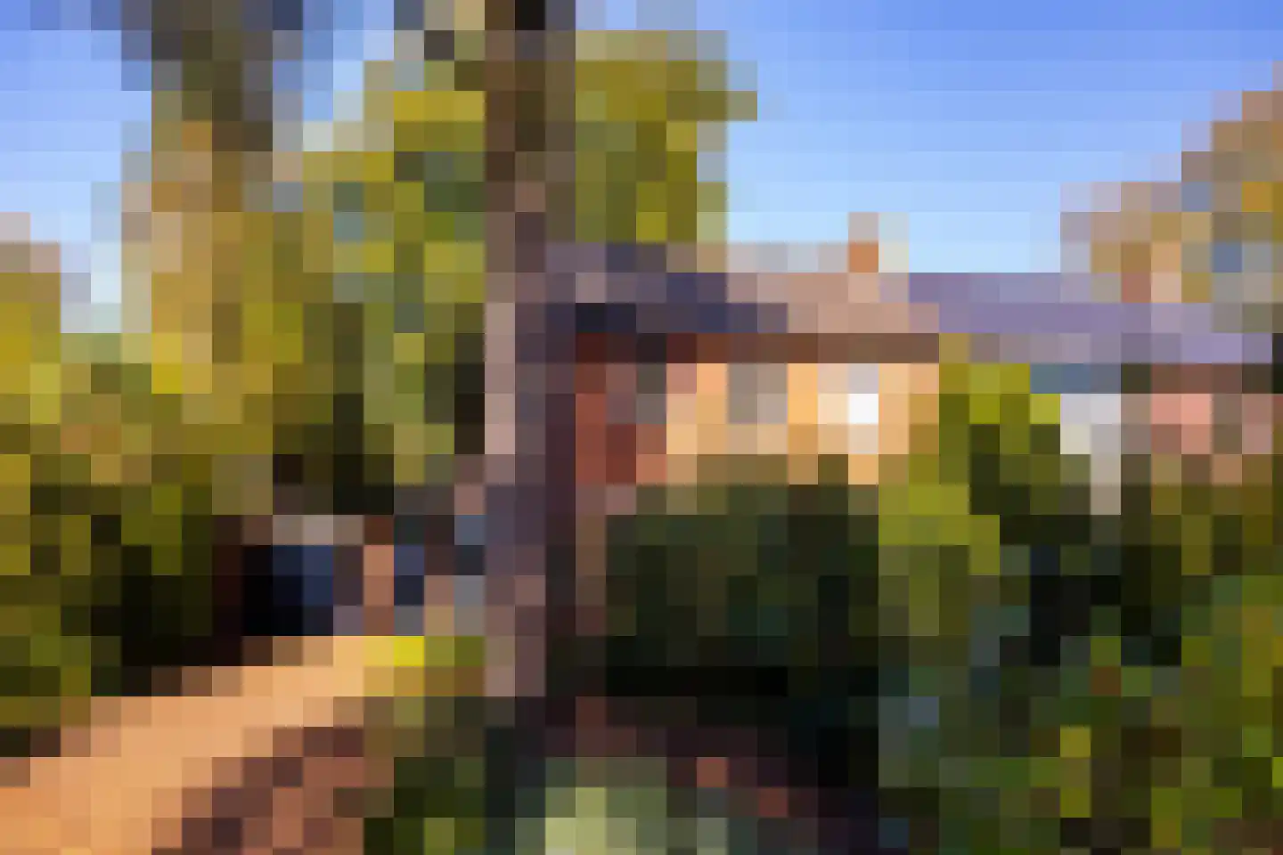 Frankenlaan 12 Apeldoorn thumbnail 8