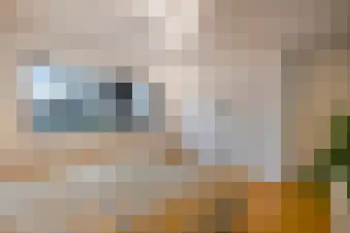 Frankenlaan 12 Sittard thumbnail 34