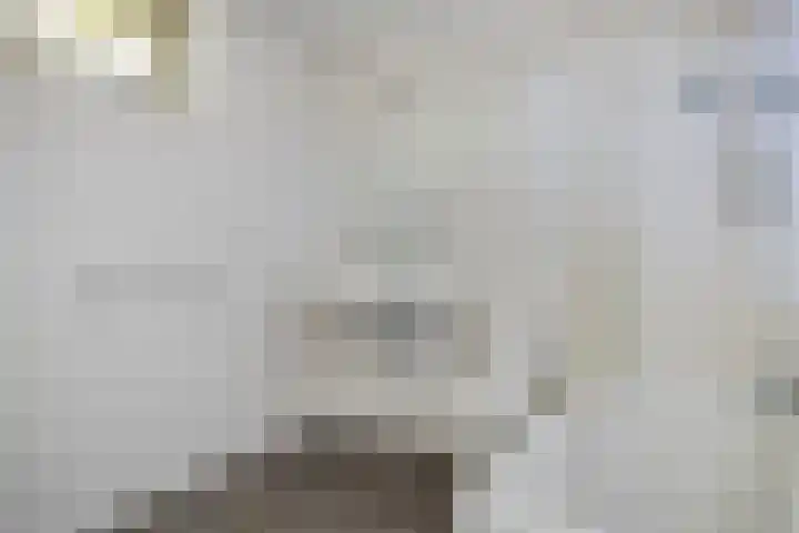 Frankenlaan 129 Tilburg thumbnail 12