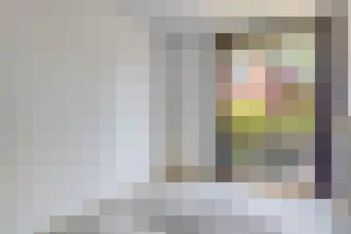 Frankenlaan 129 Tilburg thumbnail 17