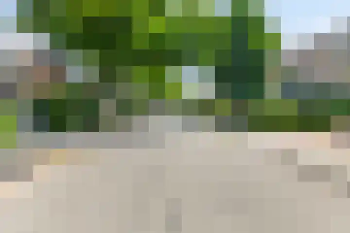 Frankenlaan 129 Tilburg thumbnail 20