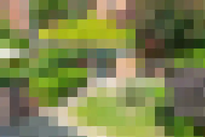 Frankenlaan 129 Tilburg thumbnail 26