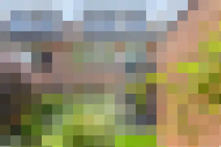 Frankenlaan 129 Tilburg thumbnail 27