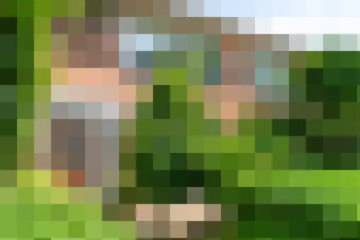 Frankenlaan 129 Tilburg thumbnail 29