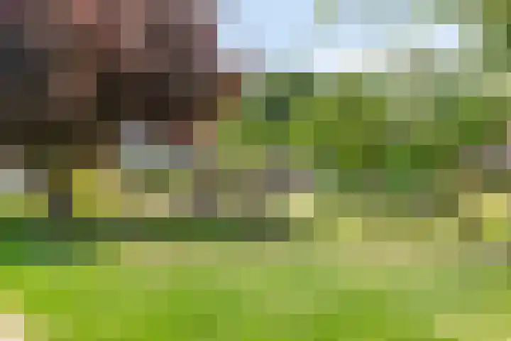 Frankenlaan 129 Tilburg thumbnail 30
