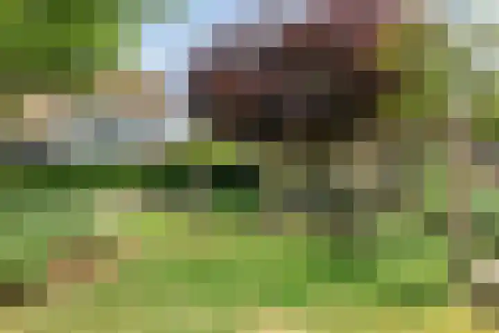 Frankenlaan 129 Tilburg thumbnail 31