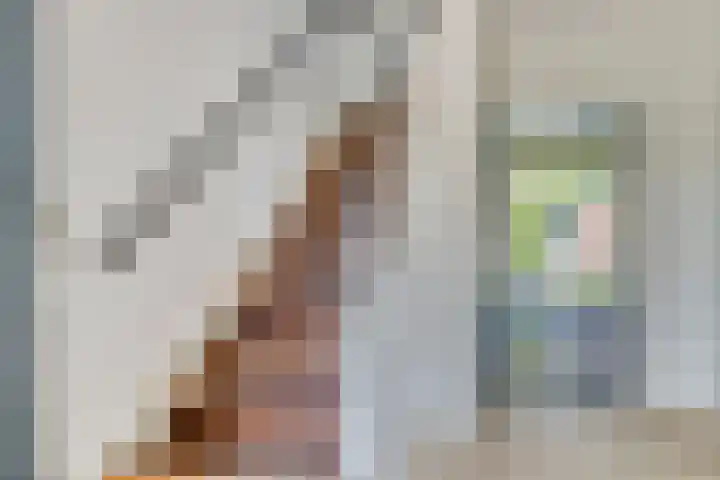 Frankenlaan 129 Tilburg thumbnail 8