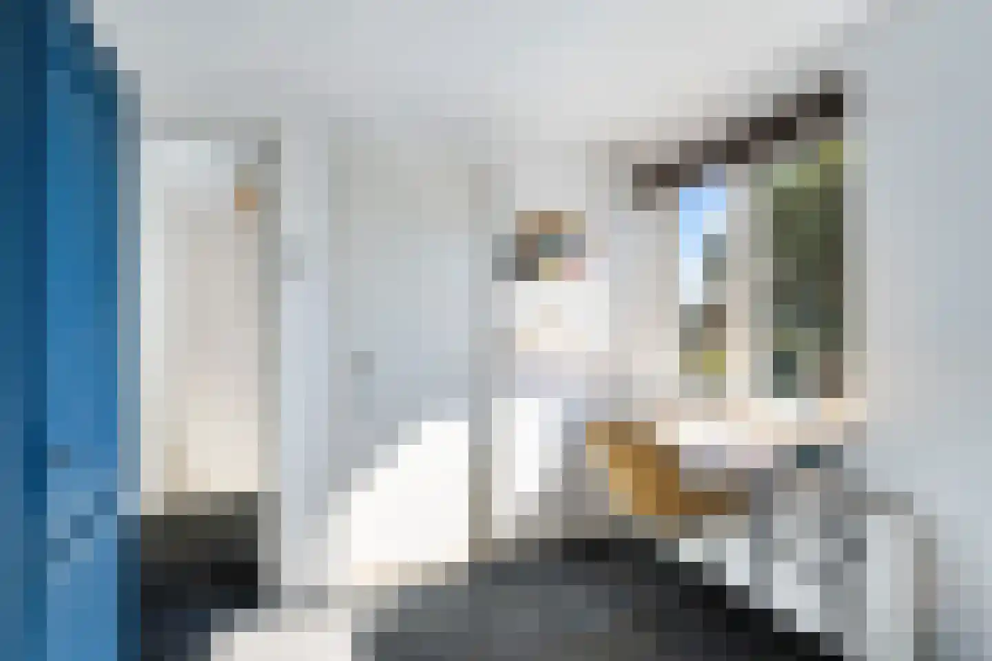 Frankenlaan 17 Prinsenbeek thumbnail 22