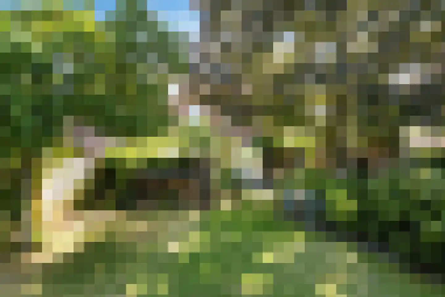 Frankenlaan 17 Prinsenbeek thumbnail 33