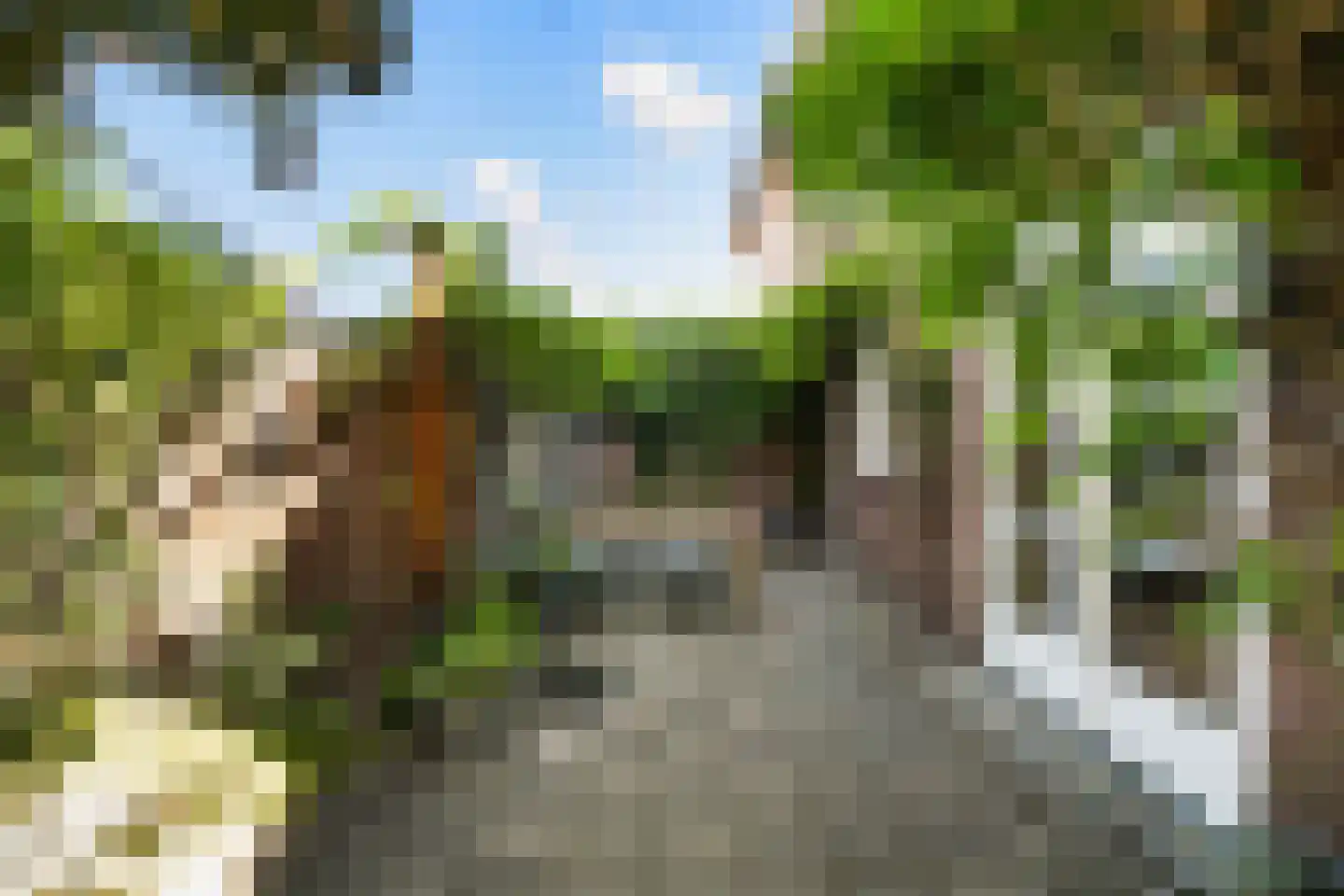Frankenlaan 17 Prinsenbeek thumbnail 34