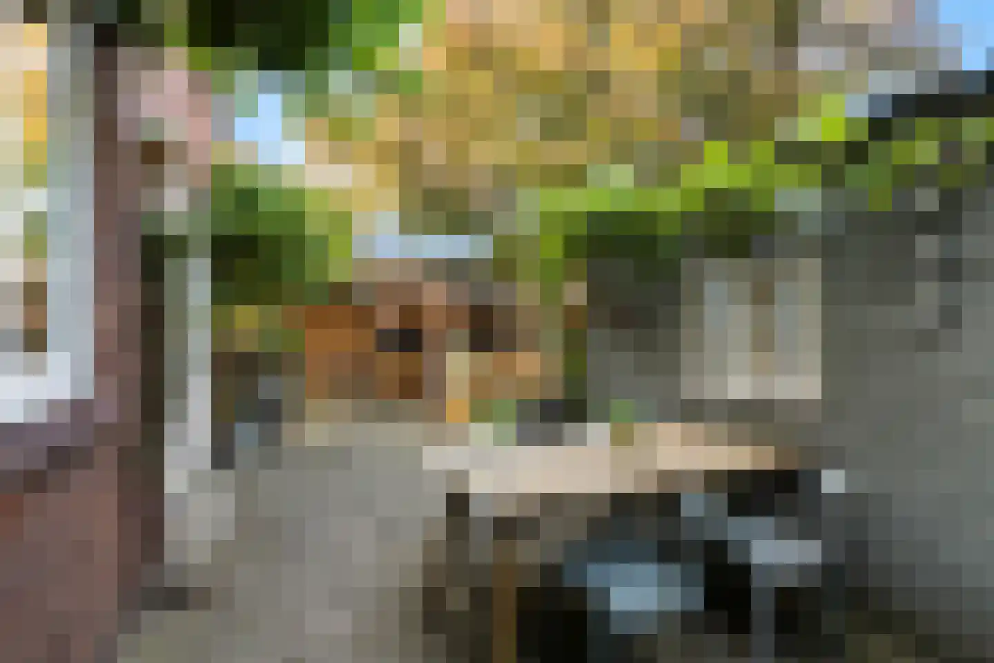 Frankenlaan 17 Prinsenbeek thumbnail 35
