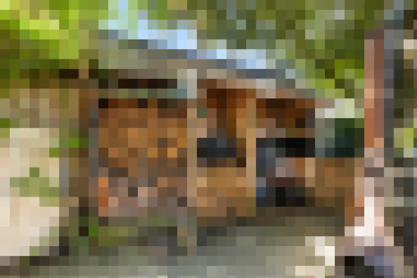 Frankenlaan 17 Prinsenbeek thumbnail 37