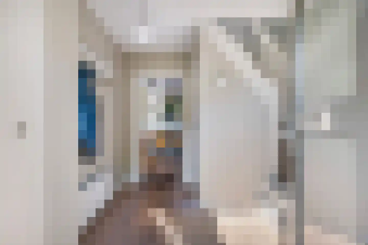 Frankenlaan 17 Prinsenbeek thumbnail 8