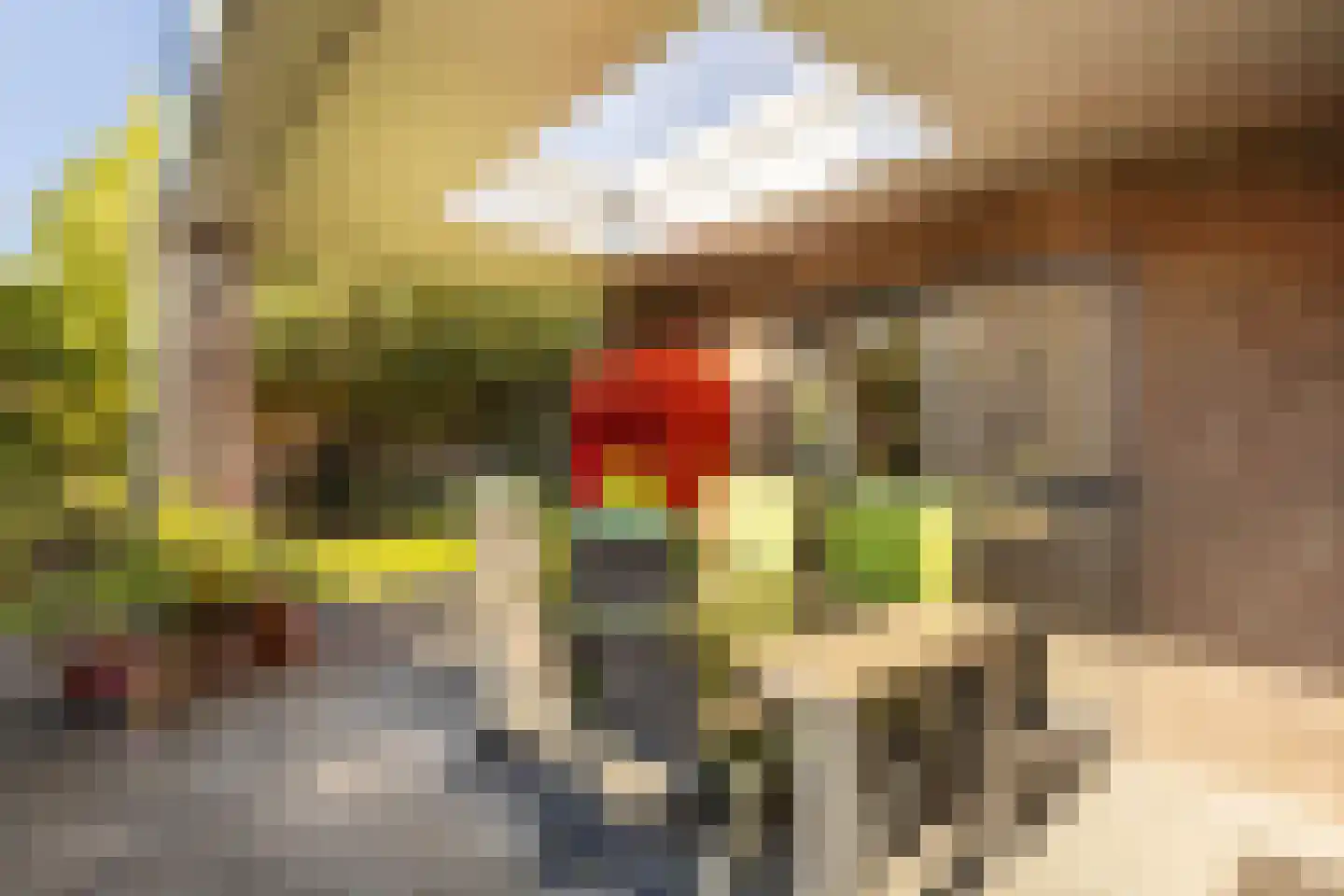 Frankenlaan 18 Sittard thumbnail 38