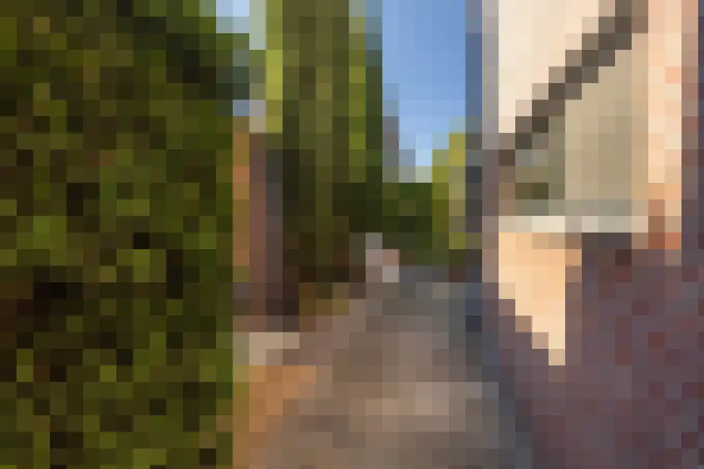 Frankenlaan 18 Sittard thumbnail 39