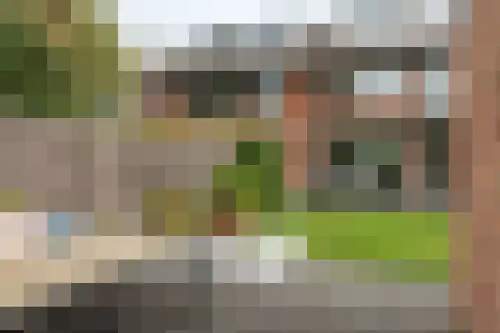 Frankenlaan 39 Tilburg thumbnail 48